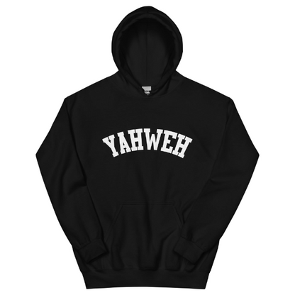 Letter Printed European And American Plus Velvet Hoodie